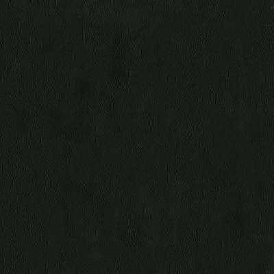F2881 Raven