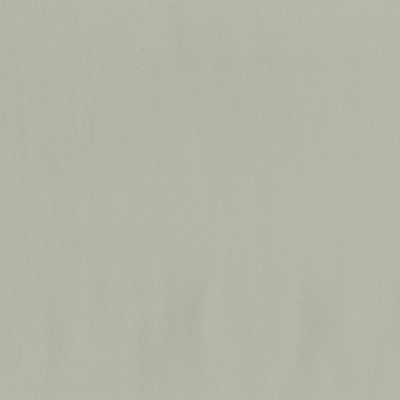 F2883 Seagull