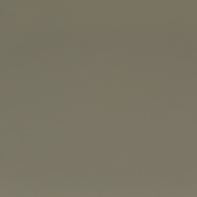 F2884 Steel
