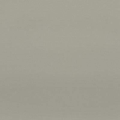 F2885 Dove