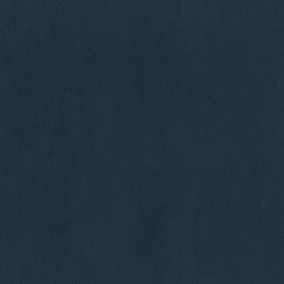 F2890 Midnight Blue