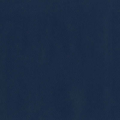 F2891 Naval Blue