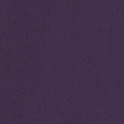 F2893 Plum