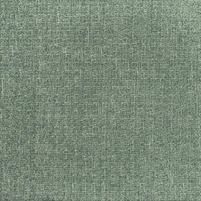 F2916 Willow