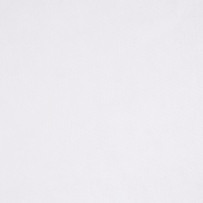 F2931 Snow