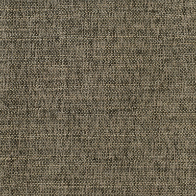 F2950 Coal