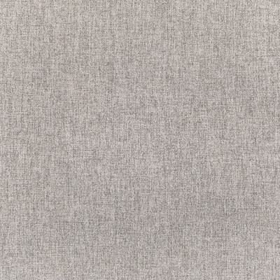 F3104 Ash