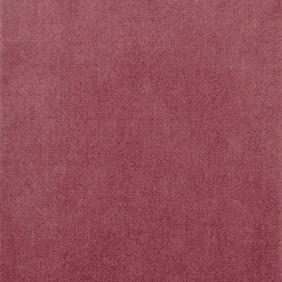 S1062 Berry