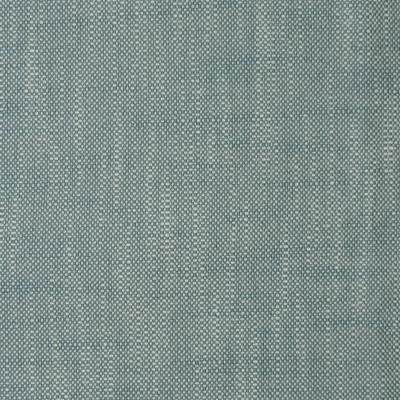 S2179 Denim