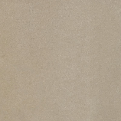 S2293 Flax