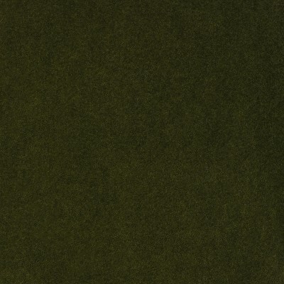 S2353 Moss