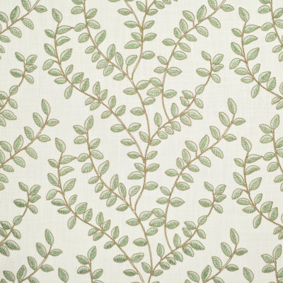 S2672 Green Tea