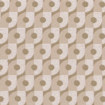 S7626 Birch