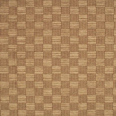 S7629 Dune