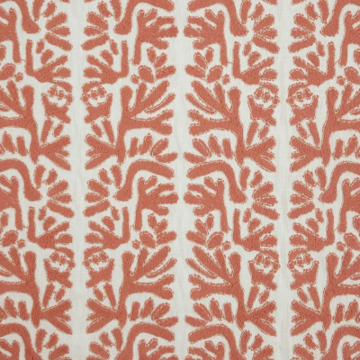 S7882 Papaya